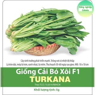 hạt giống cải bó xôi