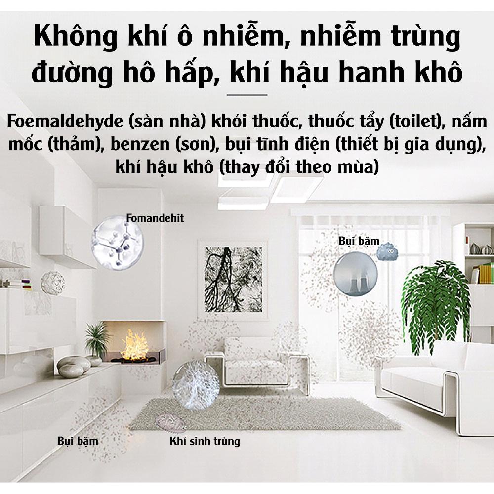 Các ưu điểm và nhược điểm của máy lọc không khí ion âm là gì?