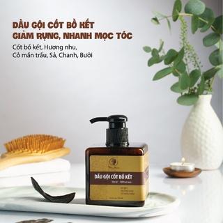 Dầu Gội Cốt Bồ Kết Chống Gàu Và Chống Rụng Tóc 250ML | Sạch Gàu | Khỏe Da Đầu | Kích Thích Mọc Tóc - Wonmom