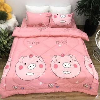 Bộ 5 ga gối và chăn phao poly cotton chần bông dày loại 1 mềm êm được chọn mẫu