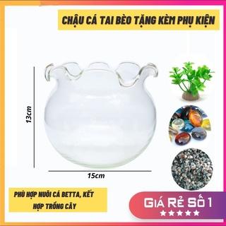 Bể Cá Thủy Tinh Hồ Cá Mini Miệng Bèo D15 x D15 x H13- Tặng phụ kiện trang trí