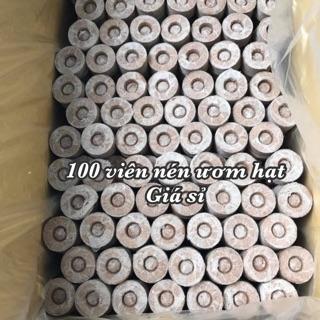 100 viên nén xơ dừa viên nén ươm hạt loại giá rẻ