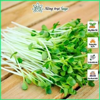 Hạt giống Rau Mầm Rau Muống Nảy Mầm Tốt, Nhanh Thu Hoạch (gói 50gr) - Nông Trại Sago