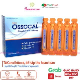 Siro Ossocal - Bổ sung canxi hữu cơ và D3 cho mẹ bầu, sau sinh và trẻ nhỏ, phát triển chiều cao hộp 20 ống