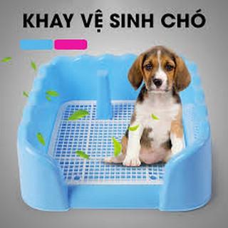 Khay vệ sinh cho chó tặng cọc 50x40x16cm