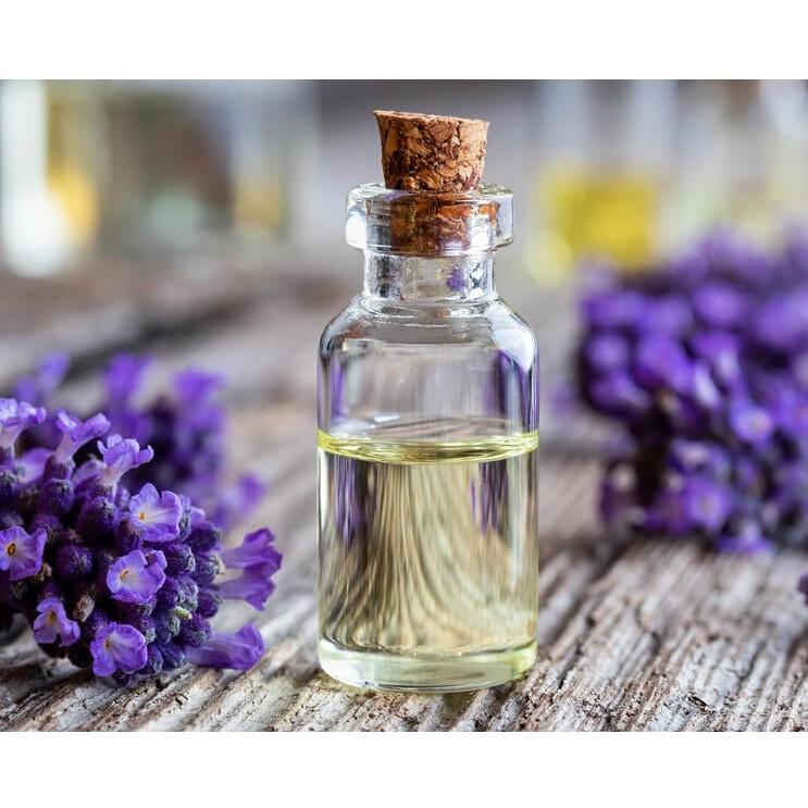 Liệu có một số tình huống mà việc sử dụng tinh dầu oải hương lavender có thể gây hại cho sức khỏe hay không?