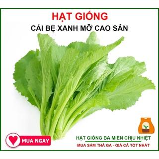 [GIỐNG CHỊU NHIỆT] 50G - Hạt Giống Cải Bẹ Xanh Mỡ