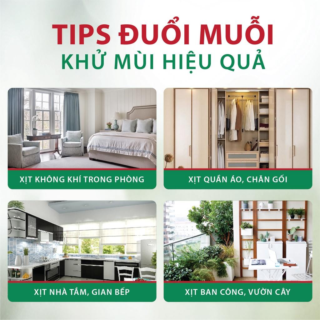 Tinh dầu bạc hà được chiết xuất từ đâu?