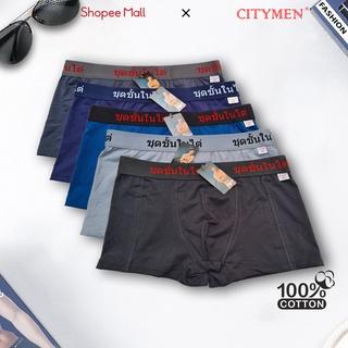 Combo 5 Quần Lót Nam Boxer Cotton 4 Chiều CITYMEN Lưng Thái Cao Cấp, Sịp Đùi Thấm Hút Và Co Dãn Tốt