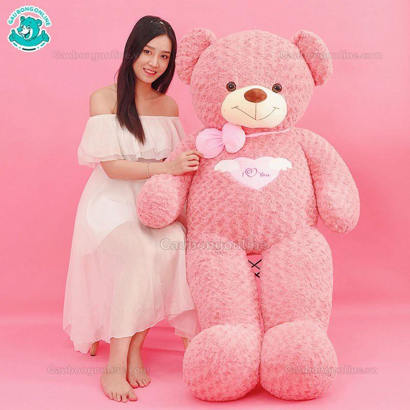 Nơi nào bán gấu bông teddy cao cấp uy tín và chất lượng?