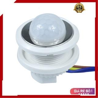 Công tắc cảm biến chuyển động hồng ngoại T3005 C2 Cảm biến chuyển động của con người, vật nuôi độ nhạy 4-6m