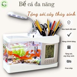 bể cá mini