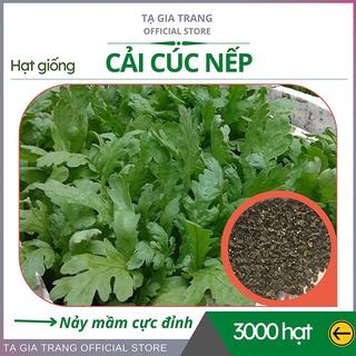 Hạt giống rau cải cúc nếp (tần ô lá tròn) - Shop hạt giống Tạ Gia Trang