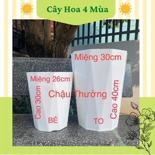 Chậu nhựa kim cương trồng cây hoa vân giả đá loại 1 cực dày dặn