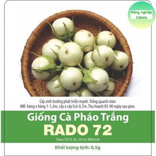 Hạt Giống Cà Pháo Trắng Chất Lượng, Năng Suất Cao 0.5gr