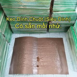 Keo Dính Chuột Siêu Dính [Có Sẵn Mồi]