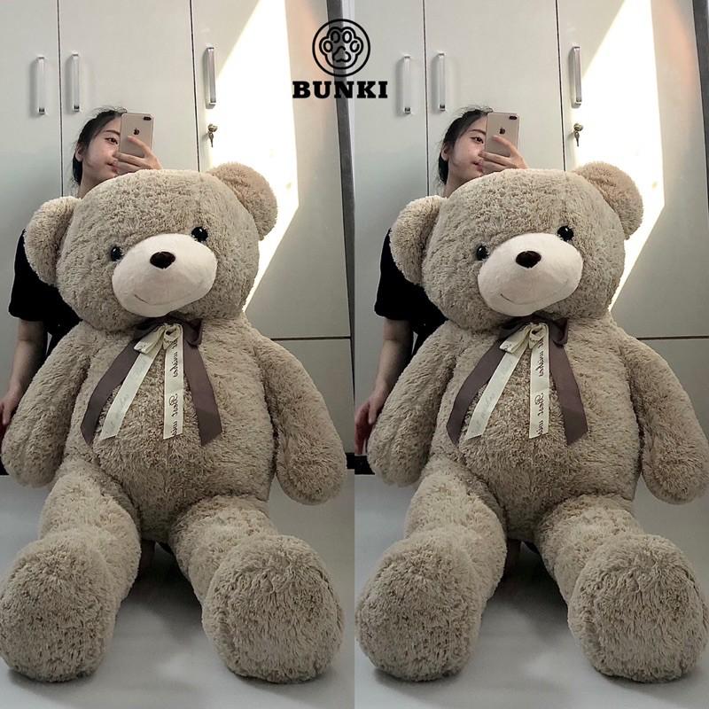 Có những loại gấu bông teddy nào được ưa chuộng nhất?