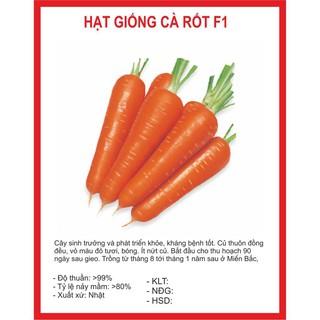 Hạt Giống Cà Rốt Củ To NEWTON (1gr )