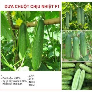 Hạt Giống Dưa Chuột Chịu Nhiệt Thái - Gói 10 hạt