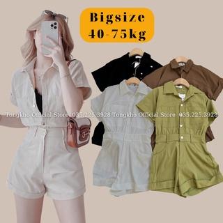 Bộ Jumpsuit nữ BIGSIZE cổ sơ mi liền quần gập gấu cực xinh 181