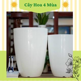 Chậu nhựa trồng cây dáng bom màu đen trắng giả sứ cao cấp siêu bền