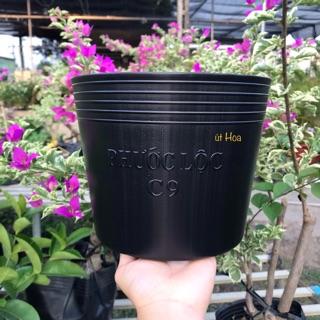 (Sll giá rẻ) Chậu nhựa đen C9 (20x16 cm) trồng cây rất dày dặn