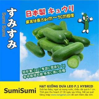 Hạt Giống Dưa Leo Baby SUMI SUMI - Giống Nhật Bản Nhập Khẩu F1