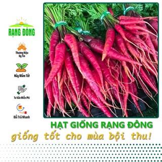 Hạt giống Cà rốt đỏ dễ chăm sóc, trồng quanh năm, củ to, dài (gói 5 gr) - Hạt giống Rạng Đông