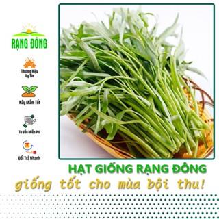 Hạt Giống Rau Muống Lá Tre Dễ Trồng, Sinh Trưởng Tốt, Năng Suất Cao (gói 50 gr) - Hạt giống Rạng Đông