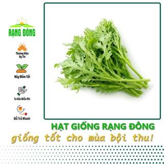 Hạt giống Rau Tần Ô (Rau Cúc Tẻ) Trồng Quanh Năm, Sinh Trưởng Khỏe (gói 20 gram) - Hạt giống Rạng Đông