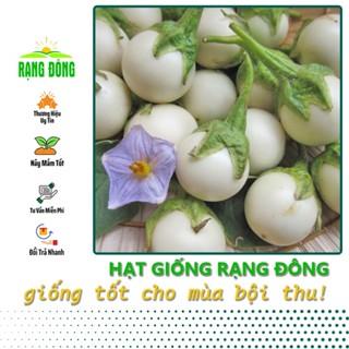 Hạt Giống Cà Pháo Trắng Cao Sản, Dễ Trồng, Siêu Trái - Hạt giống Rạng Đông