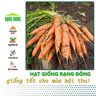 Hạt giống Cà Rốt F1 Củ To Trồng Quanh Năm, Sinh Trưởng Khỏe (gói 5 gram) - Hạt giống Rạng Đông