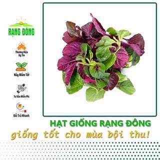 Hạt giống Rau Dền Ba Màu Dễ Chăm Sóc, Trồng Quanh Năm (gói 20 gram) - Hạt giống Rạng Đông