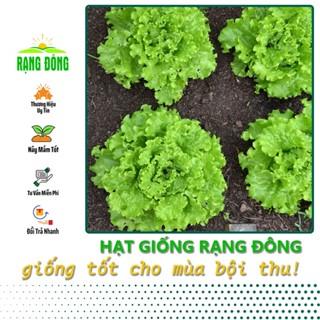 Hạt giống Xà Lách Xoăn Xanh Chịu Nhiệt Trồng Quanh Năm, Sinh Trưởng Tốt (gói 5 gram) - Hạt giống Rạng Đông