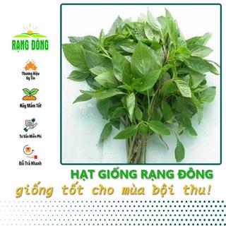 Hạt giống Rau Húng Quế Lá To Kháng Bệnh Tốt, Trồng Quanh Năm (gói 10 gram) - Hạt Giống Rạng Đông