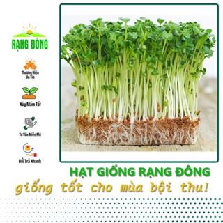 Hạt Giống Rau Mầm Rau Muống Dễ Trồng, Nhanh Thu Hoạch, Nhiều Chất Dinh Dưỡng (gói 50 gr) - Hạt giống Rạng Đông