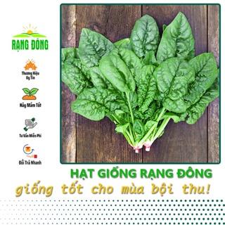 Hạt Giống Cải Bó Xôi (Rau Chân Vịt) Dễ Chăm Sóc, Trồng Được Quanh Năm - Hạt giống Rạng Đông