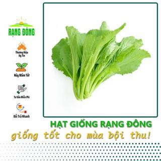 Hạt giống Cải Bẹ Xanh Mỡ (Cải Cay) Chịu Nhiệt, Sinh Trưởng Tốt (20 gram) - Hạt giống Rạng Đông