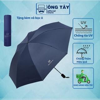 Top 10 ô tự động gấp tốt nhất