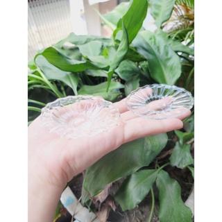 ( có video) Đĩa thủy tinh loại lớn đựng được đồ ăn thật cho nấu ăn dollhouse , miniature