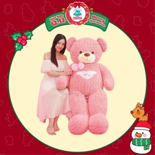 Gấu Bông Teddy Cao Cấp Angel hồng lông xoắn 80cm - 1m1 - 1m3 - 1m6. Quà tặng Đẹp và ý nghĩa.