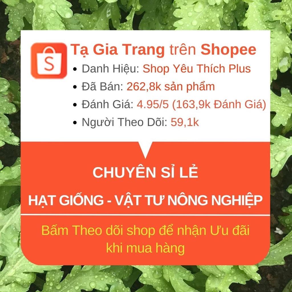 Có thể trồng hạt giống rau mầm củ cải vào mùa nào trong năm?