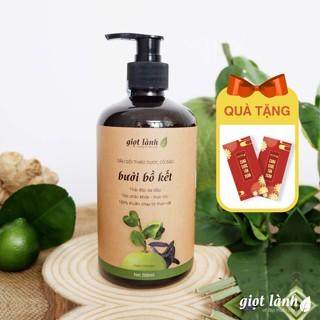 Dầu gội bồ kết - bưởi cô đặc, dầu gội thảo dược kích thích mọc tóc Giọt Lành 500ml