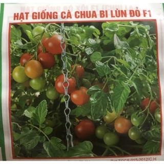 Hạt giống Cà chua bi lùn đỏ F1 (cà chua chery) ☘️