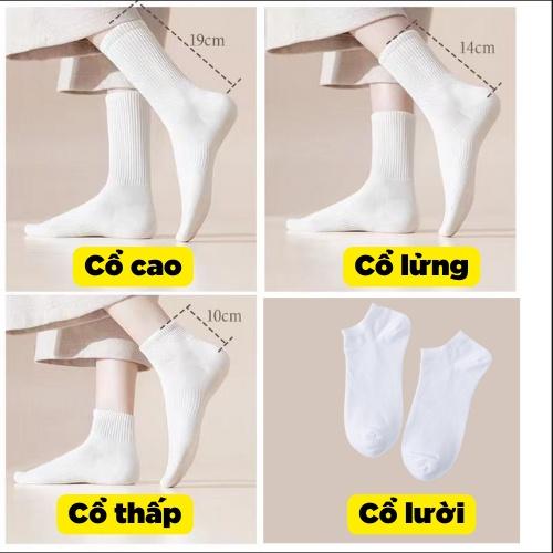 Lịch sử phát triển của tất cao cổ nữ Hàn Quốc như thế nào?