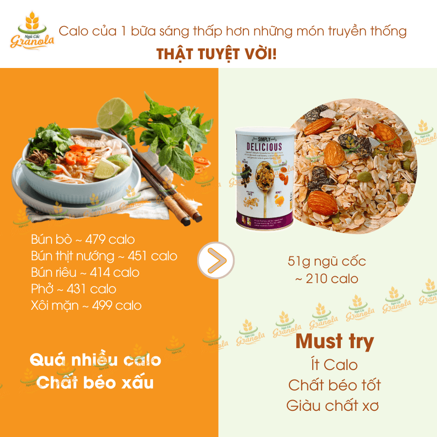 Có bao nhiêu loại ngũ cốc phổ biến?