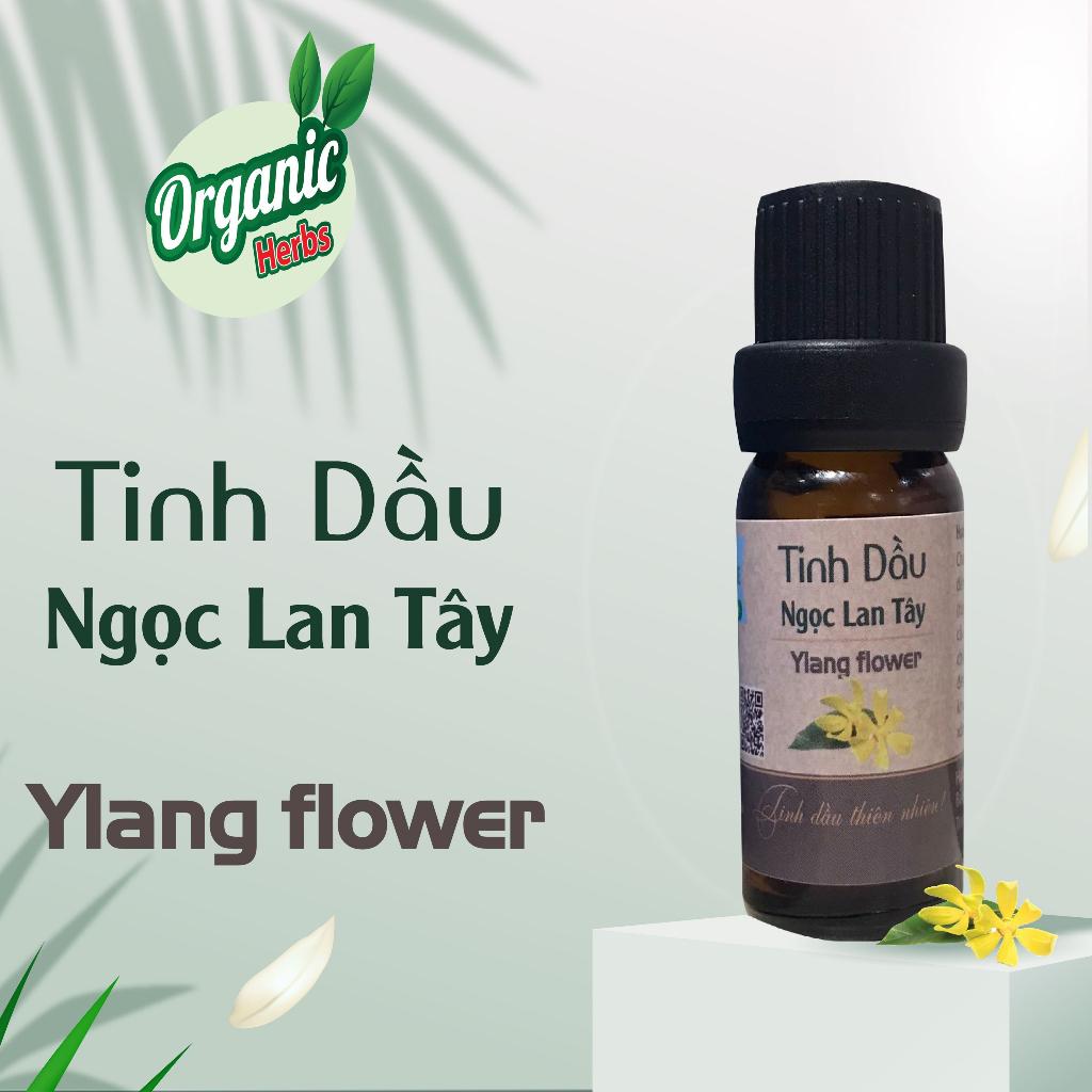 Nguyên liệu của tinh dầu quế được thu hái từ đâu?